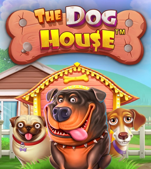 the dog house